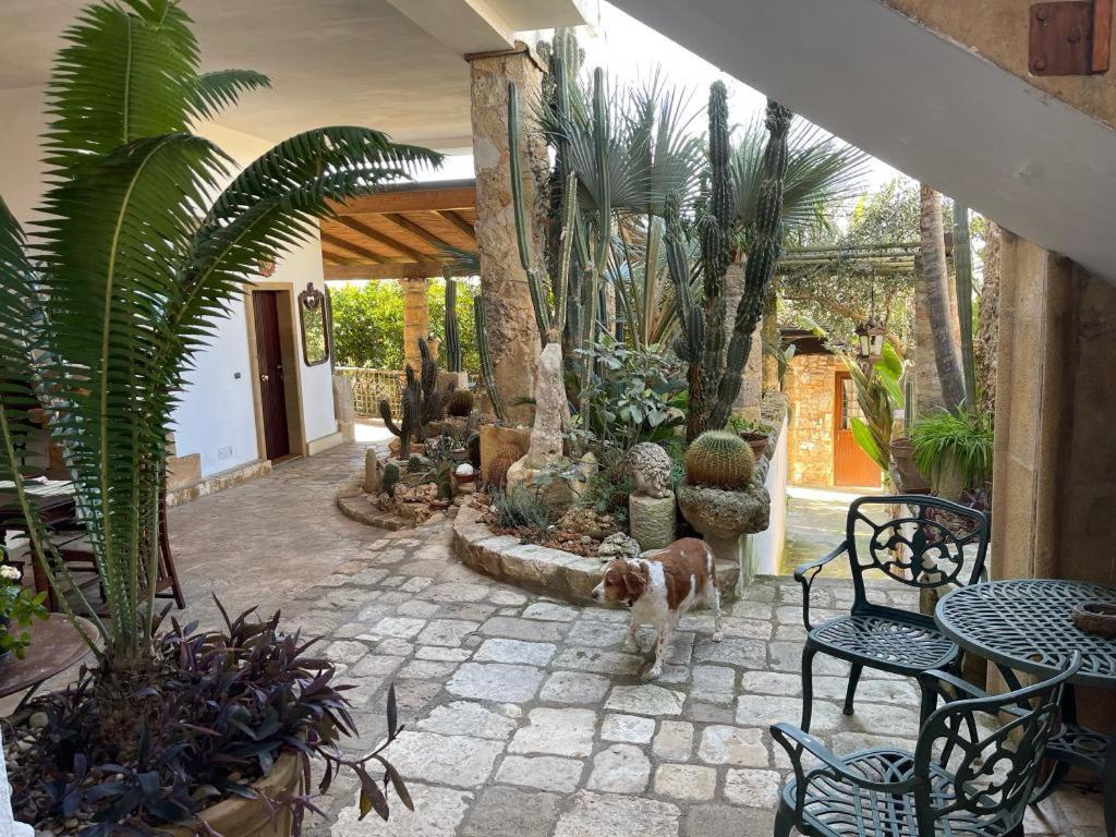 Felline In Bed&Breakfast Dimora Di Charme El Salento Exterior photo